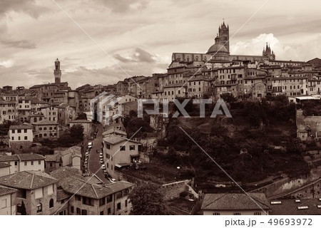 Siena panorama 49693972
