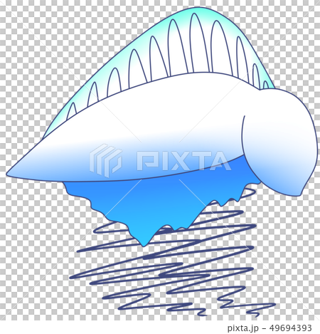 Bonito on water 49694393