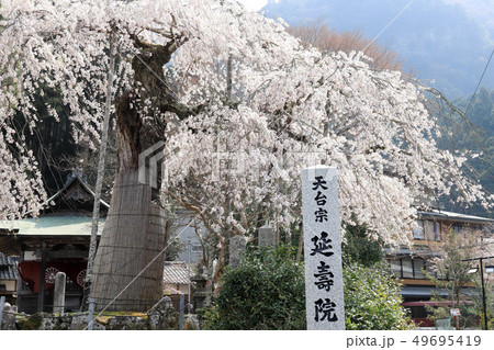 延寿院 延寿院 49695419