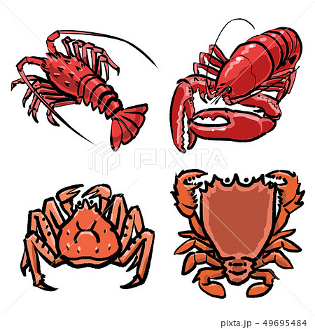 Crustacean Set Stock Illustration