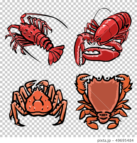 Crustacean set - Stock Illustration [49695484] - PIXTA