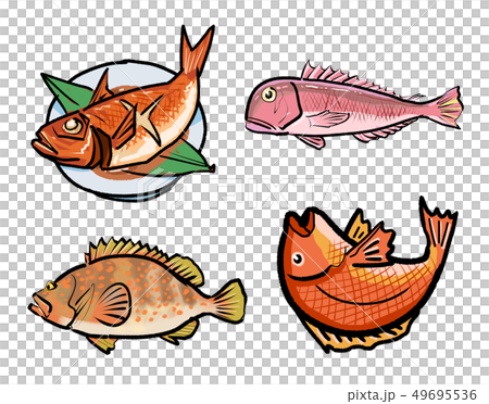 魚類セット 49695536