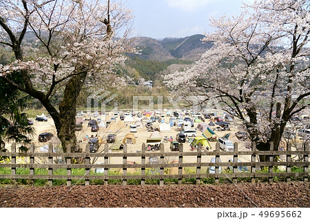 桜のローカル線・関西本線・笠置6 桜のローカル線・関西本線・笠置6 49695662
