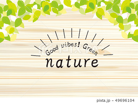 ナチュラルな新緑イメージ ナチュラルな新緑イメージ 49696104