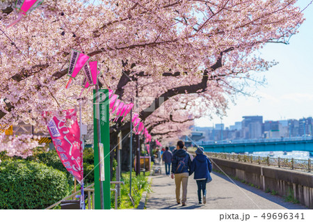 東京の春 隅田公園 桜まつりの写真素材