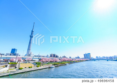 東京の春　隅田公園 桜まつり 49696458