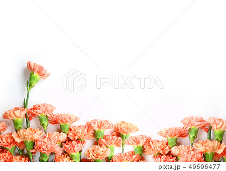花 カーネーション 母の日 49696477