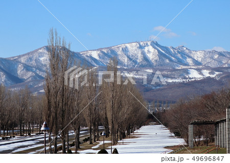 初春の前田森林公園と手稲山 49696847