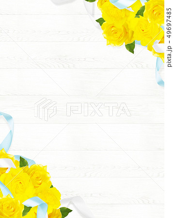 背景-バラ-黄色-父の日-白壁 49697485