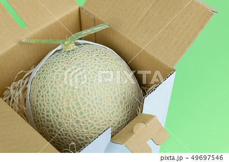 箱に入ったマスクメロン　贈答用 49697546