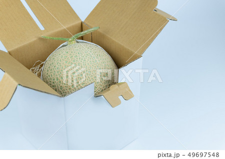 箱に入ったマスクメロン　贈答用 49697548
