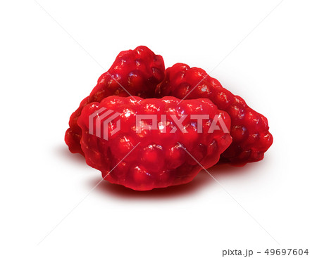 Ripe Red Granet or Garnet. Fruits of Red Ripe Pomegranate isolate on the White Background Ripe Red Granet or Garnet. Fruits of Red Ripe Pomegranate isolate on the White Background 49697604