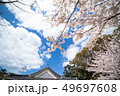 青い空 桜 三姓穴 49697608