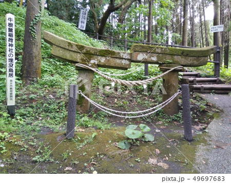 牛根麓稲荷神社の埋没鳥居 49697683