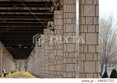 前田森林公園の藤棚 49697753