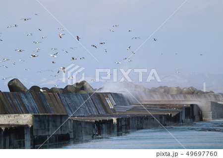 石狩湾新港東防砂堤 49697760