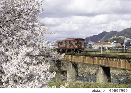 満開の桜と若桜鉄道 49697996