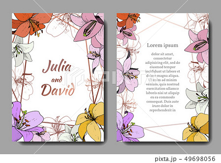 Vector Lily floral botanical flower. Engraved ink art. Wedding background card floral decorative Vector Lily floral botanical flower. Engraved ink art. Wedding background card floral decorative 49698056