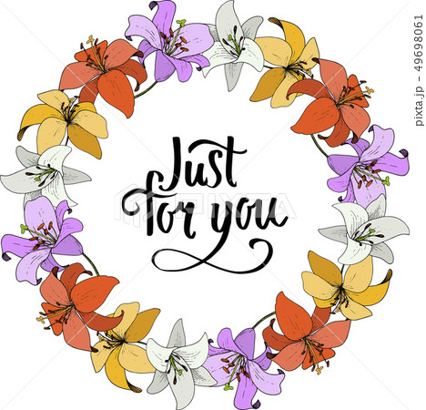 Vector Lily botanical flower. Wild spring leaf wildflower isolated. Engraved ink art. Frame border 49698061