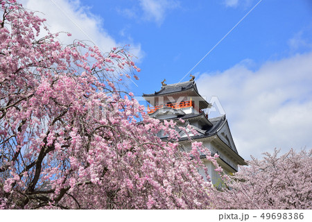 川西市　しだれ桜とお城 49698386
