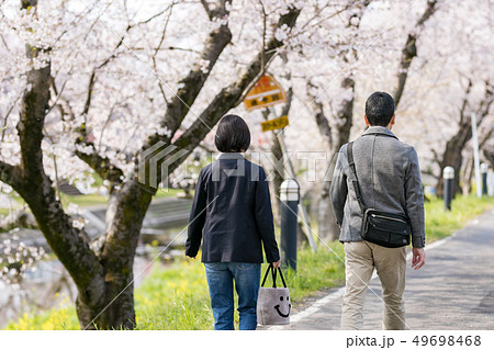 桜 散歩 夫婦 桜 散歩 夫婦 49698468