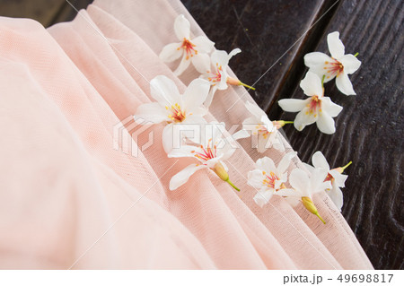 アブラギリ 台湾 花 49698817