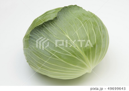 キャベツ 49699643