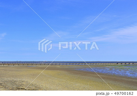 広大なトドワラ 49700162