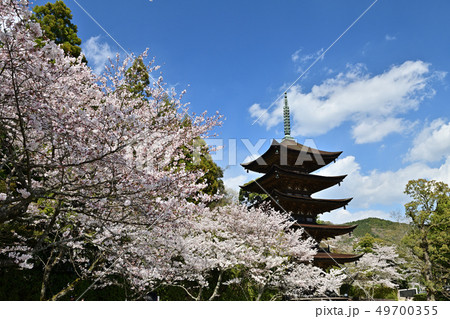 春の瑠璃光寺五重塔 49700355