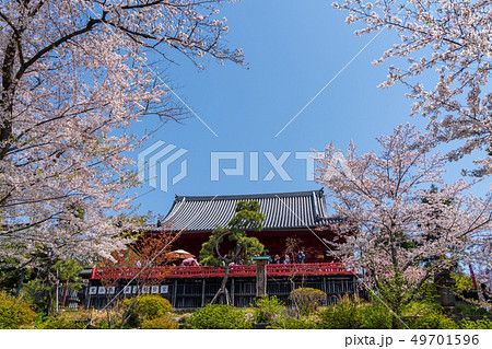 春の上野公園 清水観音堂 春の上野公園 清水観音堂 49701596