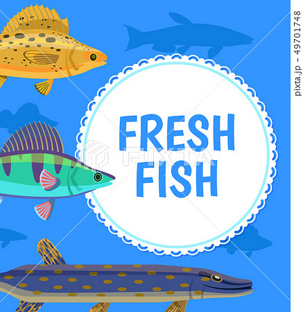 Water Animal, Fresh Fish Blue Postcard Vector Water Animal, Fresh Fish Blue Postcard Vector 49701748