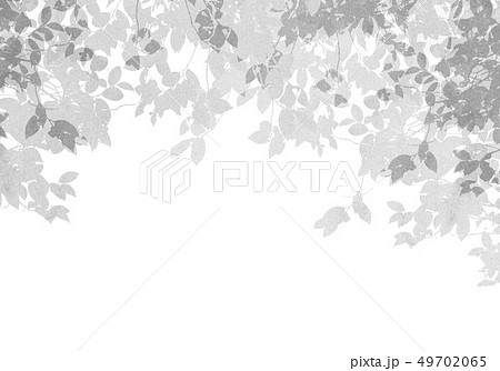 テクスチャー　モノクロ 49702065