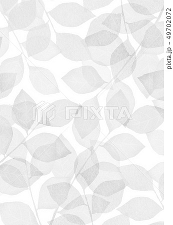 テクスチャー　モノクロ 49702072