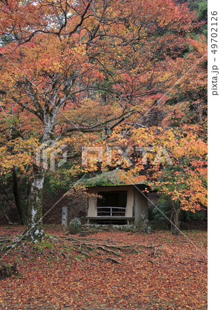 紅葉-庭園-吉野山-奥千本-西行庵 紅葉-庭園-吉野山-奥千本-西行庵 49702126
