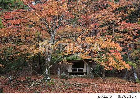 紅葉-庭園-吉野山-奥千本-西行庵 紅葉-庭園-吉野山-奥千本-西行庵 49702127
