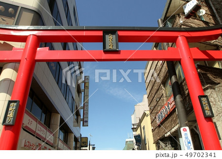 鎌倉小町通り 鎌倉小町通り 49702341