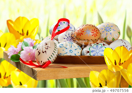 Painted Easter eggs with tulips in the garden 49707556