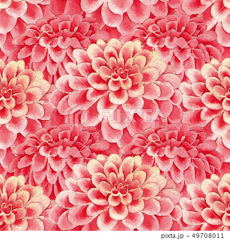 Watercolor Pattern Of Pink Dahlia Scaled Flowers Stock Illustration