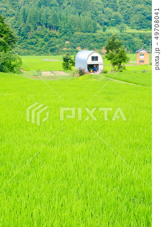 夏の農村風景 49708041