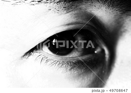 男性の目 49708647