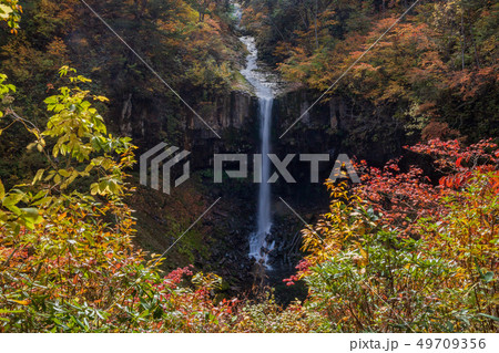 秋の八幡平 49709356