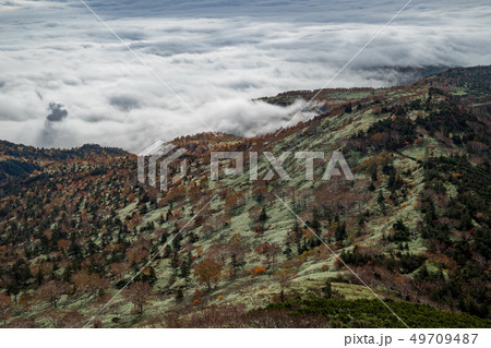 秋の八幡平 49709487