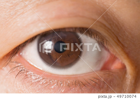 男性の目 男性の目 49710074