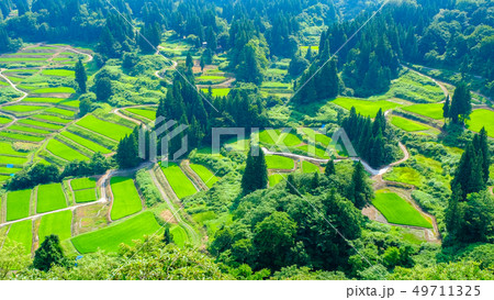慶地の棚田 (7月) 慶地の棚田 (7月) 49711325
