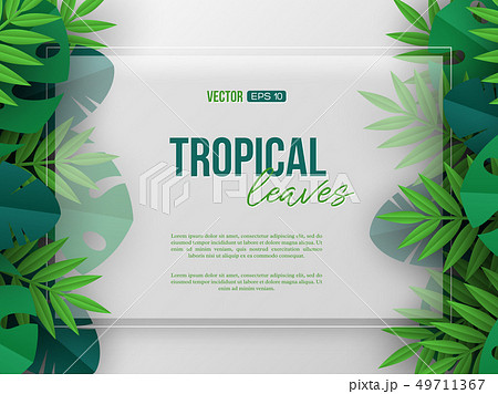 Banner with exotic jungle tropical palm leaves. 49711367