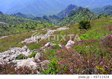 雪岳山 登山 通常の 49711428