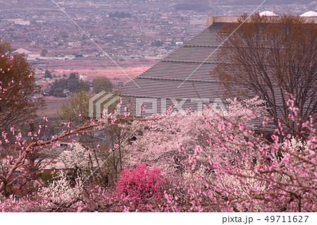 桃とサクラの花に埋もれた博物館 49711627