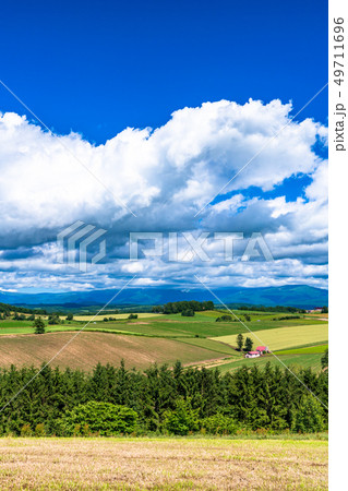 《北海道》夏の美瑛・赤い屋根の家と田園風景 《北海道》夏の美瑛・赤い屋根の家と田園風景 49711696