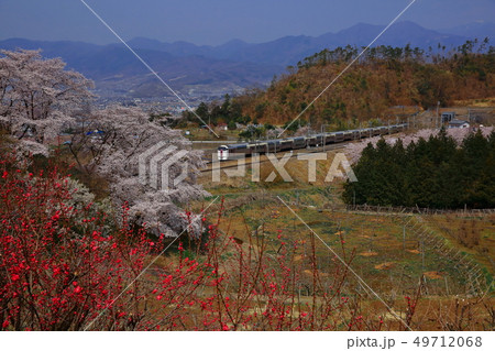 勝沼　中央線　桜　215系 49712068