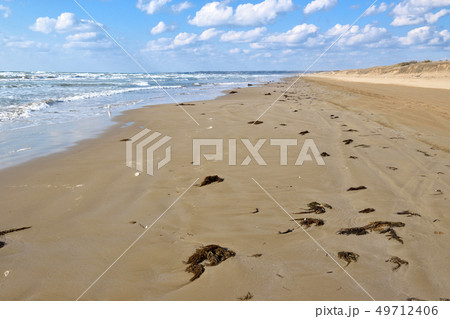 石川県　千里浜海岸 49712406